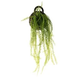 Dunelm Hanging String Of Pearls In Black Basket -Garden Decoration Craft 1000183202 alt02