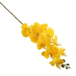 Dunelm Yellow Real Touch Phalaenopsis 3 Pack -Garden Decoration Craft 1000184163 alt02