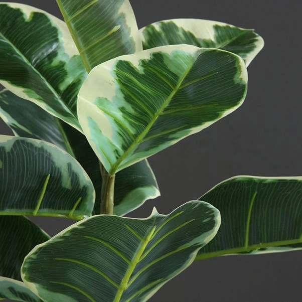 Dunelm Artificial Variagated Triple Stem Rubber Tree 97cm 3 Dunelm Artificial Variagated Triple Stem Rubber Tree 97cm - Image 3