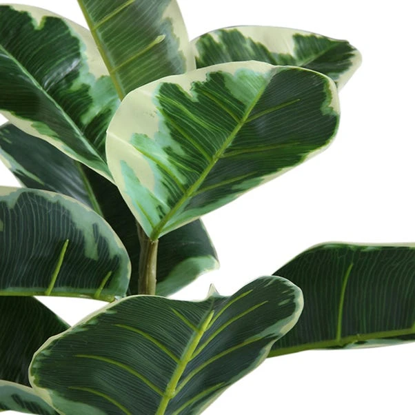 Dunelm Artificial Variagated Triple Stem Rubber Tree 97cm 4 Dunelm Artificial Variagated Triple Stem Rubber Tree 97cm - Image 4