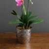 Artificial Orchid Pink In Silver Vase 28cm