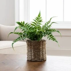 Dunelm Artificial Fern Green In Rattan Pot 30cm