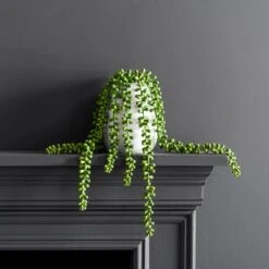 Dunelm String Of Pearls In Ceramic Pot