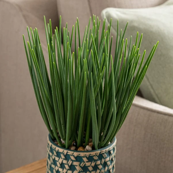 Dunelm Sword Grass In Ceramic Pot 38cm 2 Dunelm Sword Grass In Ceramic Pot 38cm - Image 2