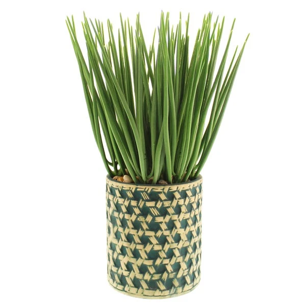 Dunelm Sword Grass In Ceramic Pot 38cm 3 Dunelm Sword Grass In Ceramic Pot 38cm - Image 3