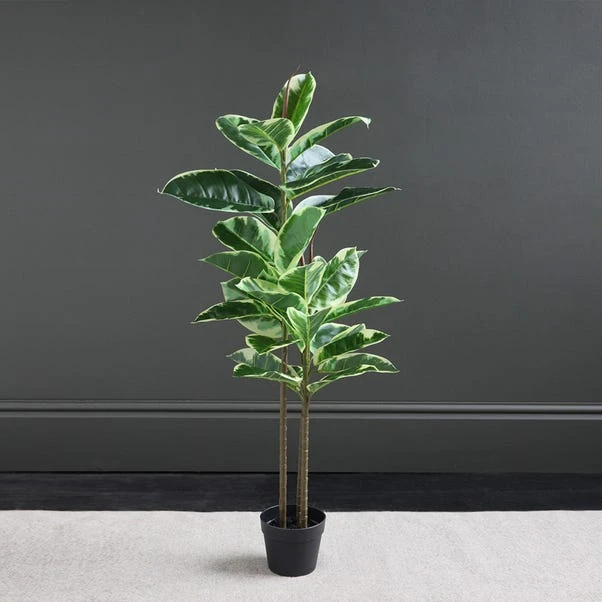 Dunelm Artificial Variagated Triple Stem Rubber Tree 97cm 1 Dunelm Artificial Variagated Triple Stem Rubber Tree 97cm