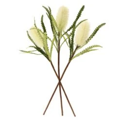 Dunelm Cream Ashby's Banksia Stem 3 Pack