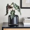 Dunelm London Black Framed Planter
