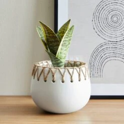 Dunelm Jute Detailed Pot With Plant