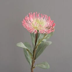 Dunelm Banksia Pink Stem 6 Dunelm Banksia Pink Stem -Garden Decoration Craft 30730222 alt02