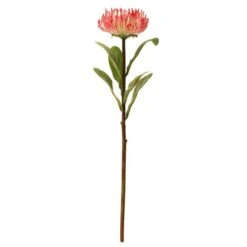Dunelm Banksia Pink Stem 7 Dunelm Banksia Pink Stem -Garden Decoration Craft 30730222 alt03