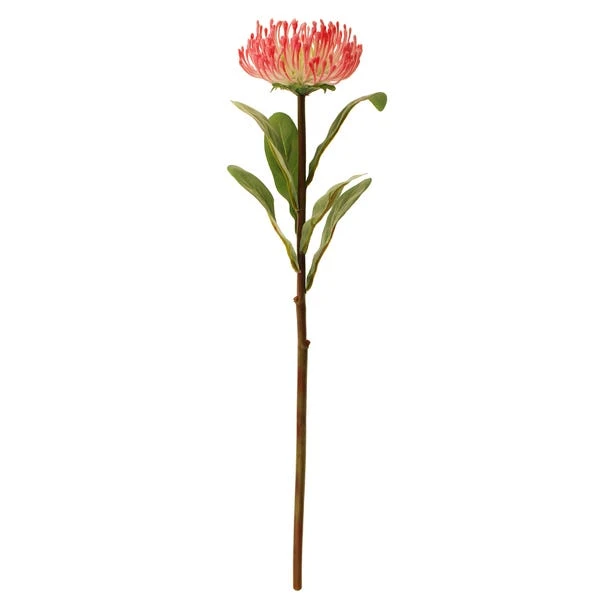 Dunelm Banksia Pink Stem 4 Dunelm Banksia Pink Stem - Image 4