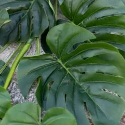 Dunelm Monstera Green Garland -Garden Decoration Craft 30730233 alt02