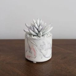 Dunelm Artificial Succulent In Pink/Grey Marble Effect Pot -Garden Decoration Craft 30730247 alt02