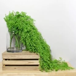 Dunelm Trailing Vine Bush -Garden Decoration Craft 30730284 alt04