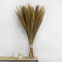 Dunelm Dried Broom Grass Natural 100cm