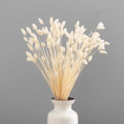 Dunelm Dried Bleached Phalaris Bundle -Garden Decoration Craft 30747115 alt03
