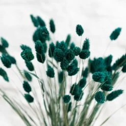 Dunelm Teal Dried Phalaris Bundle -Garden Decoration Craft 30747116 alt02