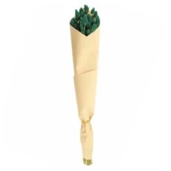 Dunelm Teal Dried Phalaris Bundle -Garden Decoration Craft 30747116 alt04