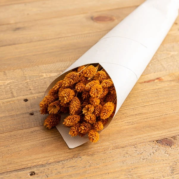 Dunelm Dried Ochre Phalaris Bundle 2 Dunelm Dried Ochre Phalaris Bundle - Image 2