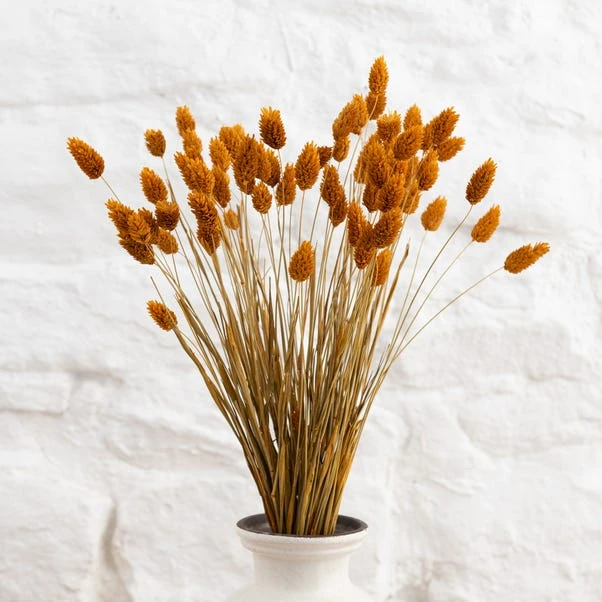 Dunelm Dried Ochre Phalaris Bundle 5 Dunelm Dried Ochre Phalaris Bundle - Image 5