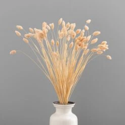 Dunelm Dried Pink Phalaris Bundle -Garden Decoration Craft 30747118 alt03
