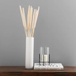 Dunelm 10 Dried Babala Stems Bleached Bundle