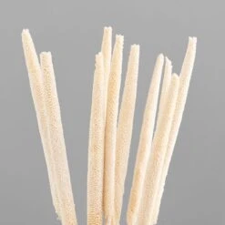 Dunelm 10 Dried Babala Stems Bleached Bundle 7 Dunelm 10 Dried Babala Stems Bleached Bundle -Garden Decoration Craft 30747119 alt02