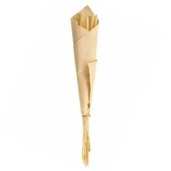 Dunelm 10 Dried Babala Stems Bleached Bundle 9 Dunelm 10 Dried Babala Stems Bleached Bundle -Garden Decoration Craft 30747119 alt04
