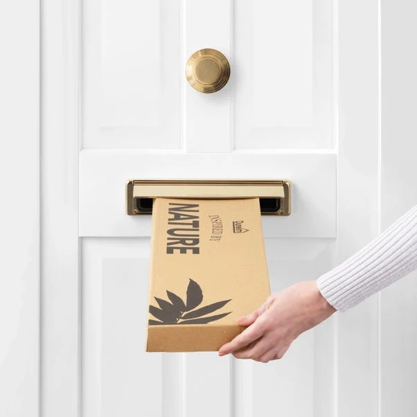 Dunelm Phalaenopsis And Palm Letterbox Bouquet 5 Dunelm Phalaenopsis And Palm Letterbox Bouquet - Image 5