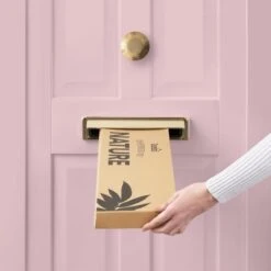 Dunelm Ranunculus And Fern Letterbox Bouquet -Garden Decoration Craft 30748831 alt04