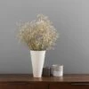 Dunelm Dried White Gypsophila Bundle