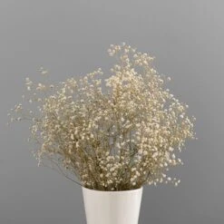 Dunelm Dried White Gypsophila Bundle -Garden Decoration Craft 30748843 alt03