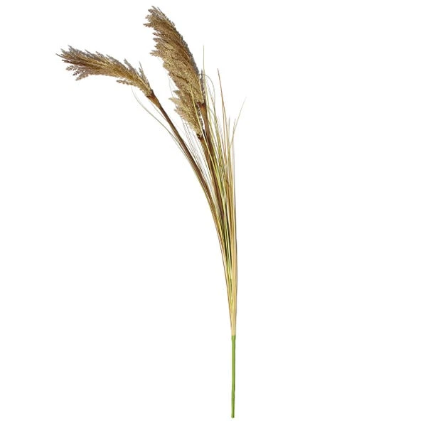 Dunelm Tall Natural Seeded Grass 128cm 4 Dunelm Tall Natural Seeded Grass 128cm - Image 4