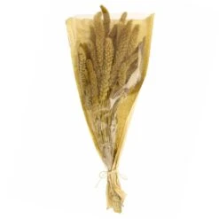 Dunelm Dried Setaria Macrostachia 50cm Natural Bundle -Garden Decoration Craft 30751160 alt04