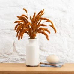 Dunelm Dried 55cm Orange Setaria Macrostachia Bundle