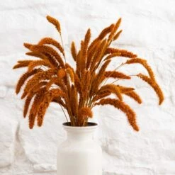 Dunelm Dried 55cm Orange Setaria Macrostachia Bundle -Garden Decoration Craft 30751171 alt04