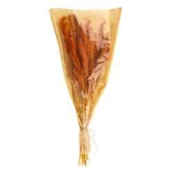 Dunelm Dried 55cm Orange Setaria Macrostachia Bundle -Garden Decoration Craft 30751171 alt05