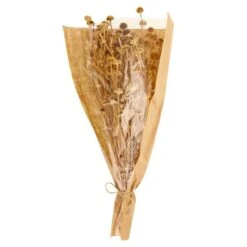 Dunelm Dried Natural Wild Daisy Bundle -Garden Decoration Craft 30751174 alt05