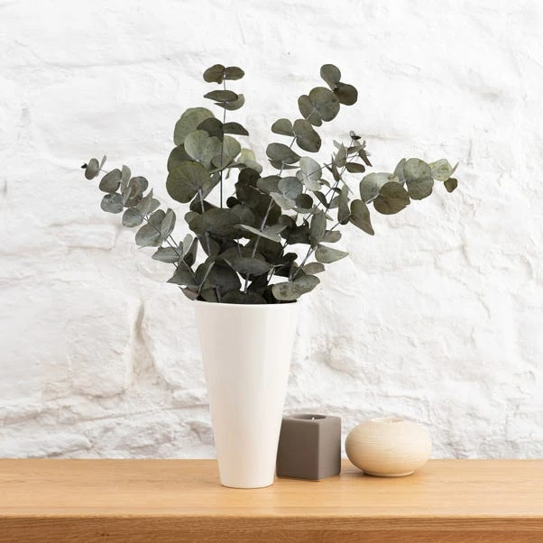 Dunelm Preserved Eucalyptus Syneria Bundle 1 Dunelm Preserved Eucalyptus Syneria Bundle