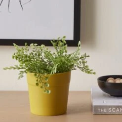 Dunelm Ceramic Plant Pot Yellow Small