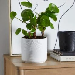 Dunelm Ceramic Plant Pot Luxe White