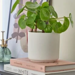 Dunelm White Ceramic Plant Pot