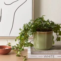 Dunelm Reactive Glaze Green Ceramic Plant Pot