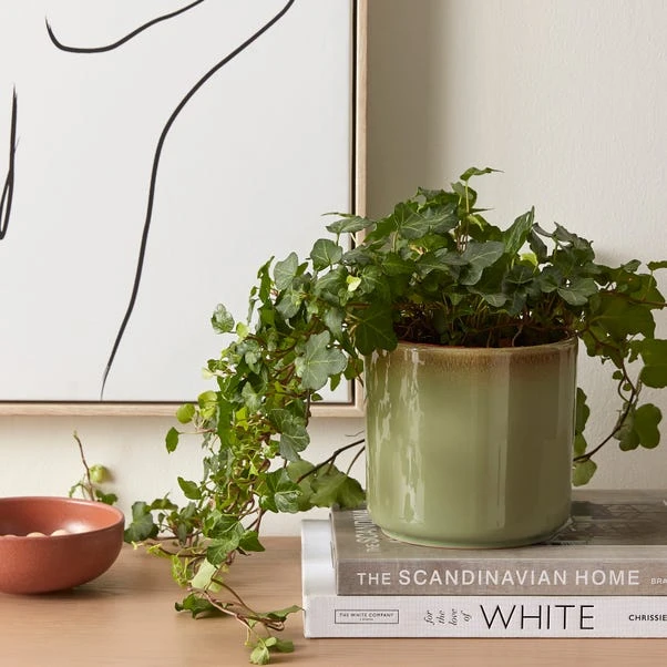 Dunelm Reactive Glaze Green Ceramic Plant Pot 1 Dunelm Reactive Glaze Green Ceramic Plant Pot