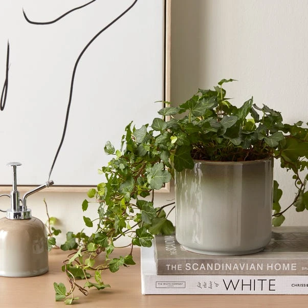 Dunelm Reactive Glaze Grey Ceramic Plant Pot 1 Dunelm Reactive Glaze Grey Ceramic Plant Pot