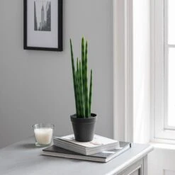 Dunelm Artificial Snake Plant In Black Pot 50cm