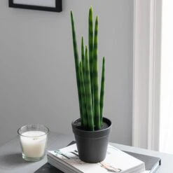 Dunelm Artificial Snake Plant In Black Pot 50cm 6 Dunelm Artificial Snake Plant In Black Pot 50cm -Garden Decoration Craft 30752427 alt02