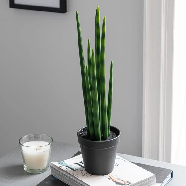 Dunelm Artificial Snake Plant In Black Pot 50cm 3 Dunelm Artificial Snake Plant In Black Pot 50cm - Image 3
