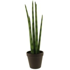 Dunelm Artificial Snake Plant In Black Pot 50cm 7 Dunelm Artificial Snake Plant In Black Pot 50cm -Garden Decoration Craft 30752427 alt03